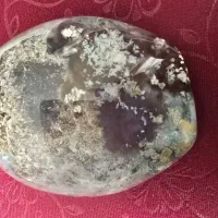 راف شجر شکوفه وعقیق رنگی فردوس
