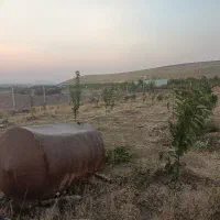 فروش زمین خانه باغ معاوضه بنز۹۱۱