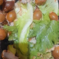 فروش حلزون پرورشی
