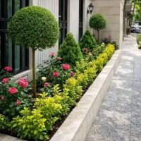خدمات باغبانی باغچه کاری تعویض خاک گلدان کاشت گل و