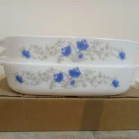 دو مرغ خوری مربعی گل آبی|ظروف سرو و پذیرایی|بیرجند, |دیوار