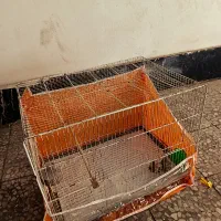 قفس بزرگ پرنده