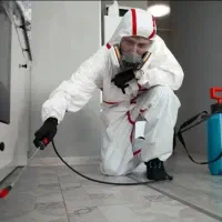 شرکت سمپاشی/باضمانت/موریانه زدایی*سوسک ریز ساس موش