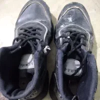 کفش|کیف، کفش، کمربند|ایذه, |دیوار