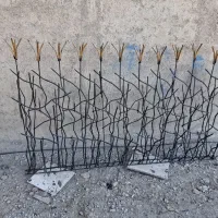 شاخ گوزنی|خدمات پیشه و مهارت|ملارد, |دیوار