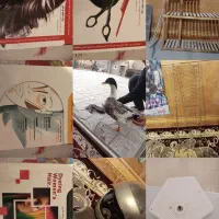 کتاب ارایشی