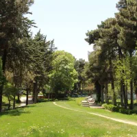 دوربین عکاسی|دوربین عکاسی و فیلم‌برداری|ایلام, |دیوار