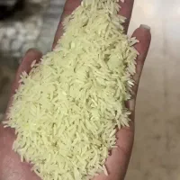 فروش ویژه انواع برنج ایرانی درجه یک