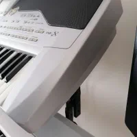 korg pa1x|پیانو، کیبورد، آکاردئون|پردیس, فاز ۳|دیوار