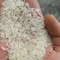 برنج فجر سوزنی گرگان|خوردنی و آشامیدنی|تهران, آذری|دیوار
