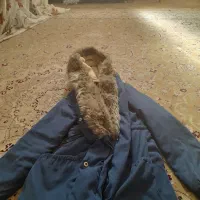 کاپشن گرم و شیک