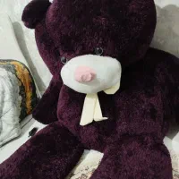 خرس ولنتاین