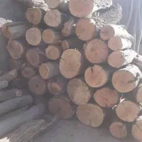 هیزم کبابی وشومینه