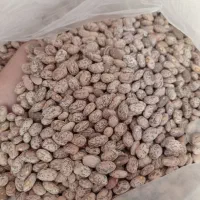 لوبیا چیتی لرستان تمیز تازه ب شرط میدم کیلو 300