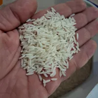 پخش عمده و جز برنج شمال گلستان مینودشت|عمده‌فروشی|مینودشت, |دیوار