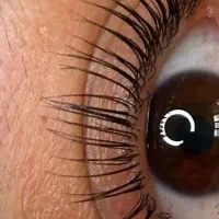 ۶۰ درصد تخفیف آموزش لیفت مژه و ابرو|خدمات آموزشی|گرگان, |دیوار