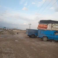 کاه درجه یک کردستان ریز دیم گندم