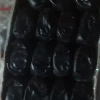 خرمای فروشی مادرکارتن