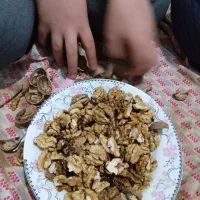 گردو ومغزگردو بشرط...|خوردنی و آشامیدنی|مشگین شهر, |دیوار