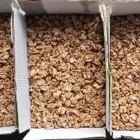 مغز گردو اعلا خوانساری