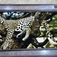 دوعدد تابلو