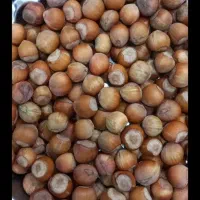 فندق تازه