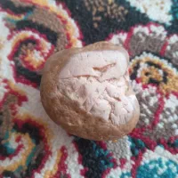 سنگ قدیمی وقیمتی۴