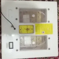 دستگاه جوجه کشی|لوازم جانبی حیوانات|شادگان, |دیوار