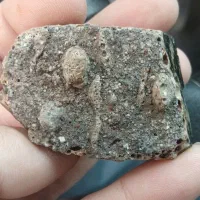 سنگ آبستین اصل