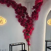 اجاره لاین زیبایی