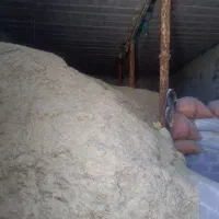 فروش کاه سفید در باغملک