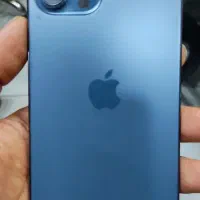 12promax 256 zaaاقساط|موبایل|شیراز, گود عربان|دیوار