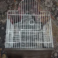 قفس