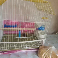 قفس پرنده نو نو