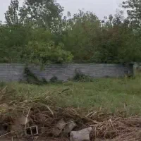 فروش و معاوضه چند پلاک زمین سندوپروانه ساخت رودبنه|فروش زمین و ملک کلنگی|رودبنه, |دیوار