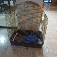 قفس طوطی وکاسکو