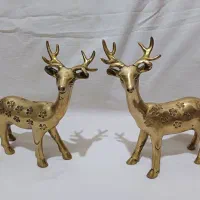 گوزن نرو ماده