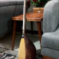 دوتارشمال خراسان|سازهای سنتی|بجنورد, |دیوار