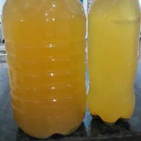 آبغوره تازه ترش کیلو ۵۰