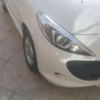 ۲۰۷پاناخشک رینگ