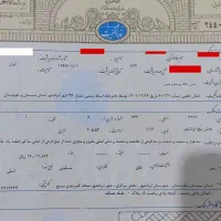 فروش فوری زمین۲۰۵متری سجادشهر