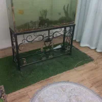 آکواریوم ۱متر در ۱،۳۰|ماهی|محمدشهر, همایون ویلا|دیوار