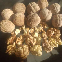 گردوهمدان|خوردنی و آشامیدنی|دلیجان, |دیوار