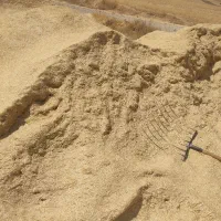 کاه کردستان