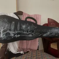 کیس ویولن