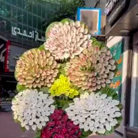 گل آرایی استندگل،تاج گل ترحیم و نمایشگاهی|گل و گیاه طبیعی|تهران, سازمان برنامه شمالی|دیوار