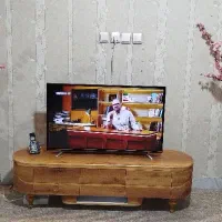 دو گل بهاری همراه گلدان