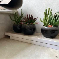 گلدان گل|گل مصنوعی|شیراز, کاراندیش|دیوار