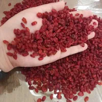 به به چه زرشکی