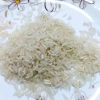 برنج طارم|خوردنی و آشامیدنی|علی‌آباد کتول, |دیوار